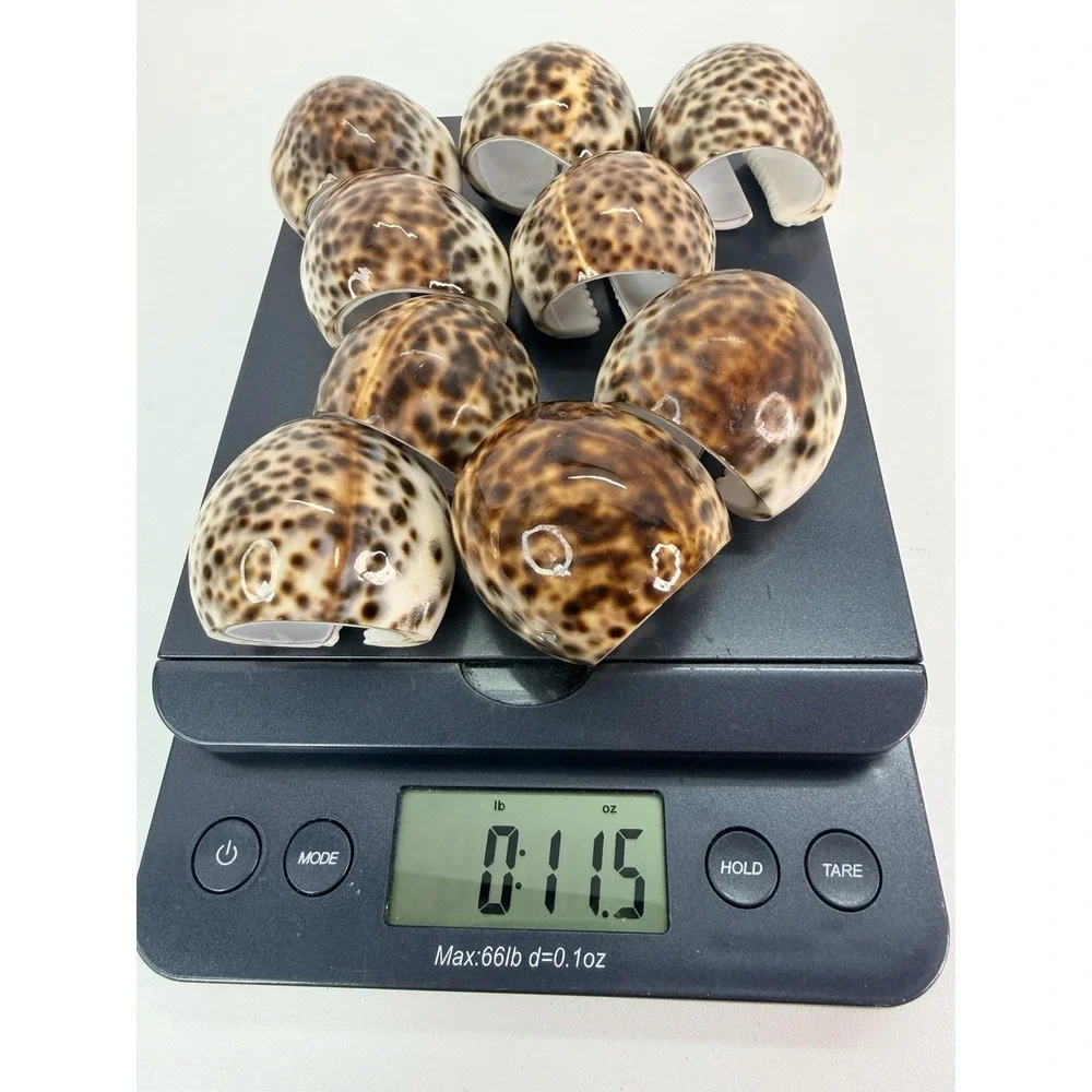 9 Tiger Cowrie Shell Napkin Rings Nautical‎ Beach Vintage House Coastal Decor